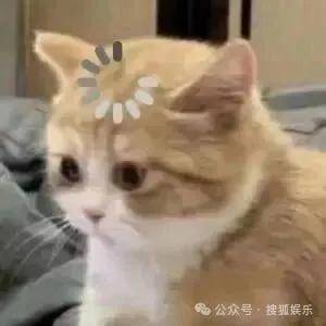 皇冠信用开号
_离婚三年又被拍到亲密逛超市皇冠信用开号
,他俩这是纯带娃还是真复合了?