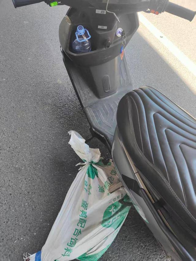 诺和华 vs 特伦托_跑腿骑手送鳄鱼 半道发现是活的