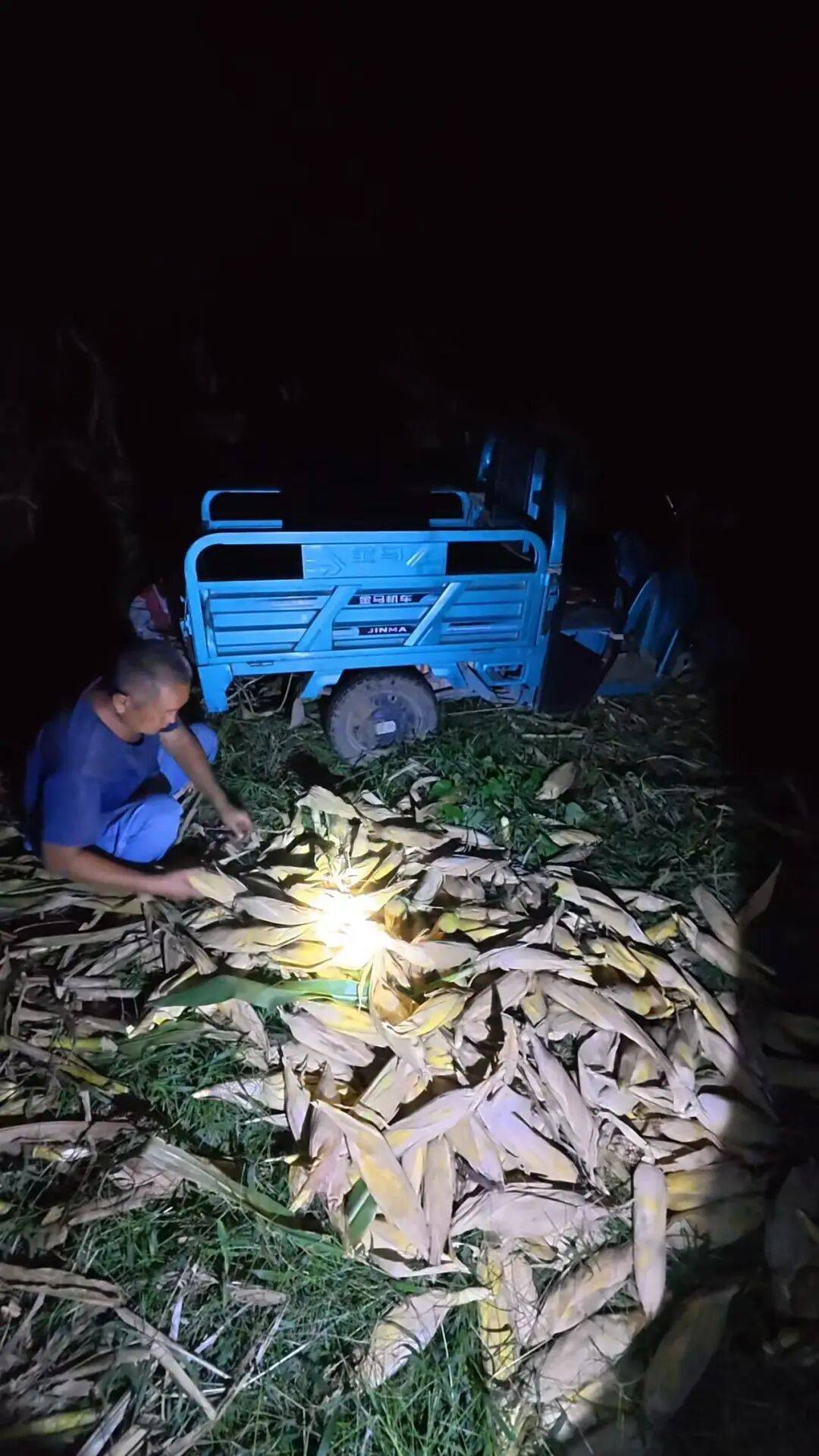 皇冠信用網会员_大学生8天假掰了7天半玉米:自己多弯一次腰皇冠信用網会员,父母就少吃一点苦