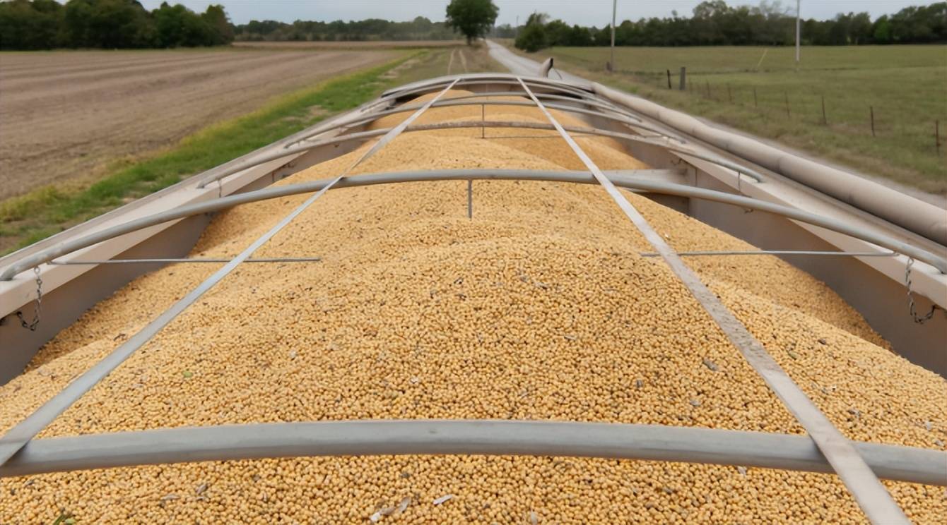 皇冠信用網足球代理_中美五轮贸易谈判达成共识皇冠信用網足球代理，中方接连购美大豆小麦显诚意，特朗普借 “无核化” 设局打压中国