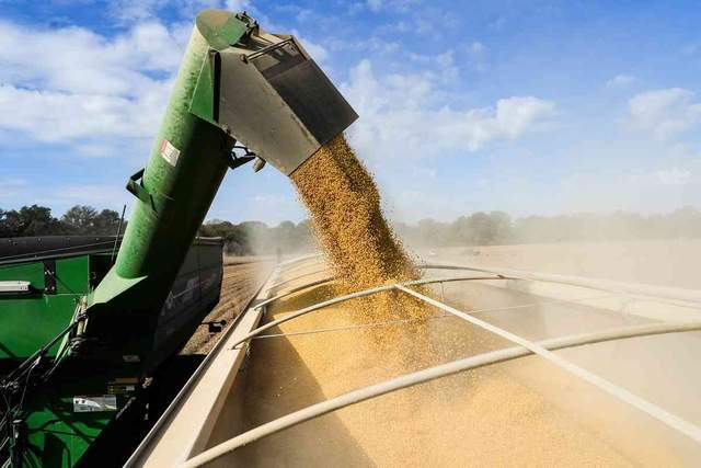 皇冠信用网
_中国采购800万吨美国大豆皇冠信用网
,美媒争相“报喜”,实则中美角色已互换