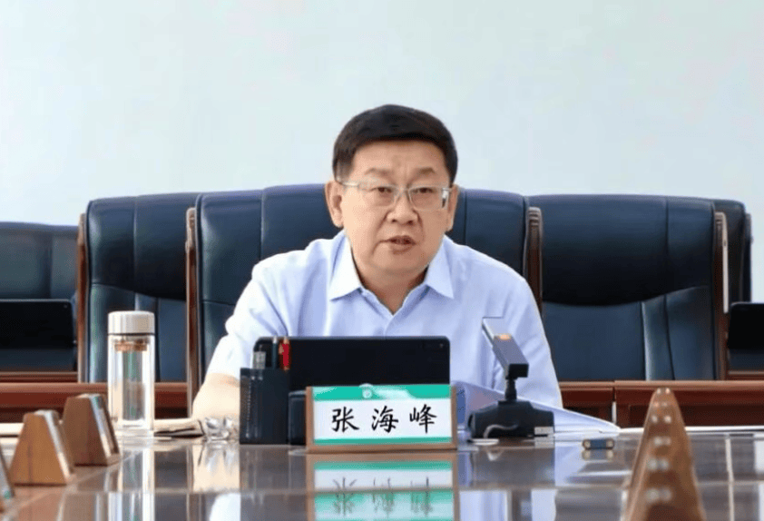 世界盃開戶
_涉嫌严重违纪违法世界盃開戶
,张海峰被查