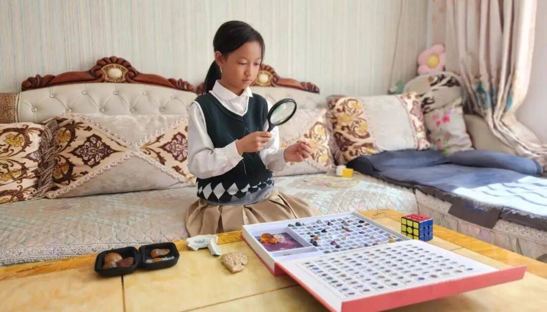世界杯代理_大庆小学生肇源江边捡“怪石”世界杯代理，经鉴定为万年古生物化石，科考价值极高