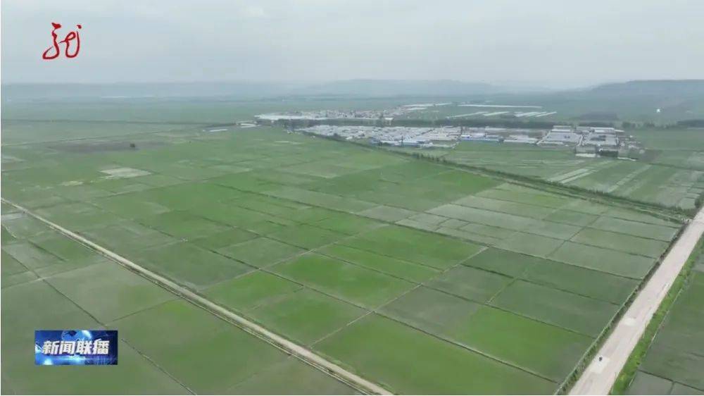 皇冠信用网如何注册_【龙视新闻联播】黑土地上的“私人定制”