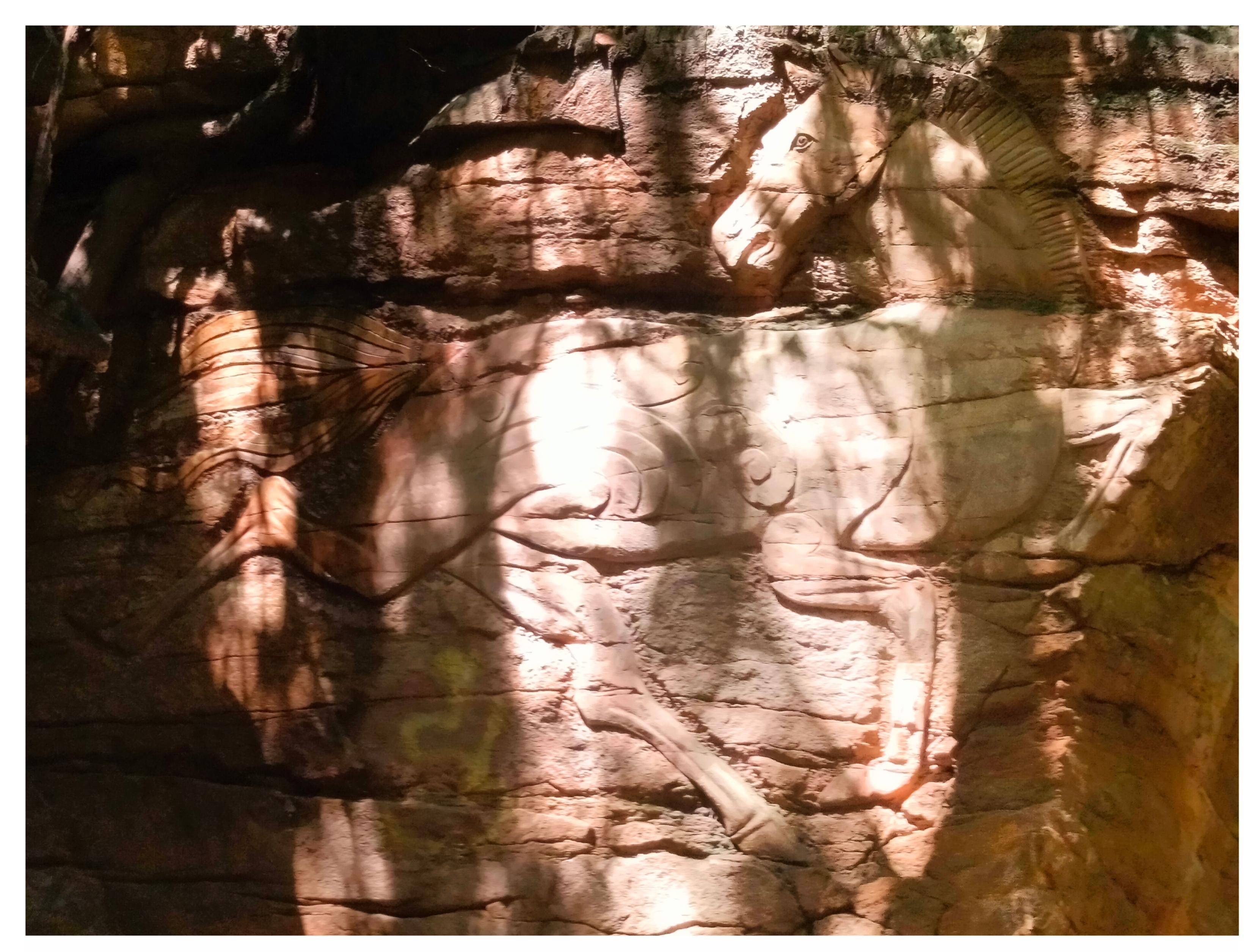 巴西乙组联赛_流传在北京八大处的传说巴西乙组联赛，女孩17年后再讲金马驹的故事