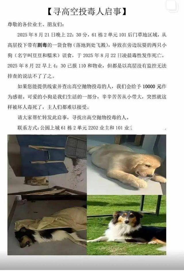 意大利甲组联赛 _广西一小区有人高空抛食毒死多条宠物狗意大利甲组联赛 ，居民悬赏万元寻线索，警方已立案调查